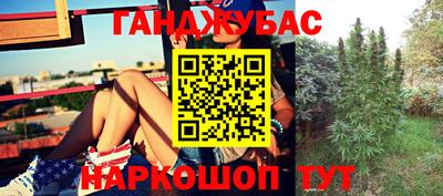 крисы Краснокаменск