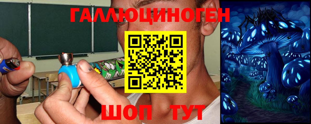 Псилоцибиновые грибы GOLDEN TEACHER Коломна